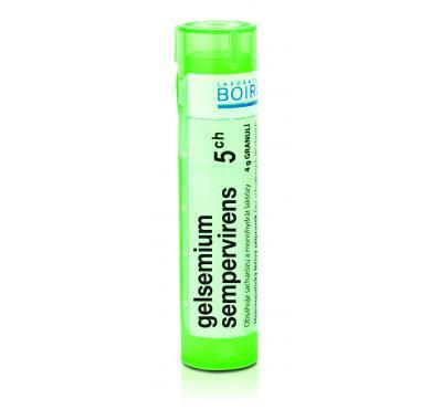 GELSEMIUM SEMPERVIRENS CH5 GRA.4G