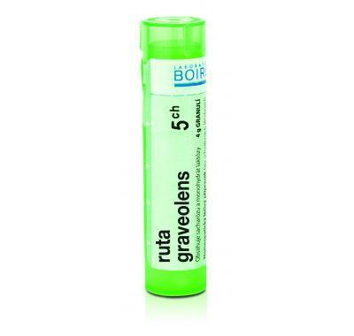 RUTA GRAVEOLENS CH5 GRA.4G